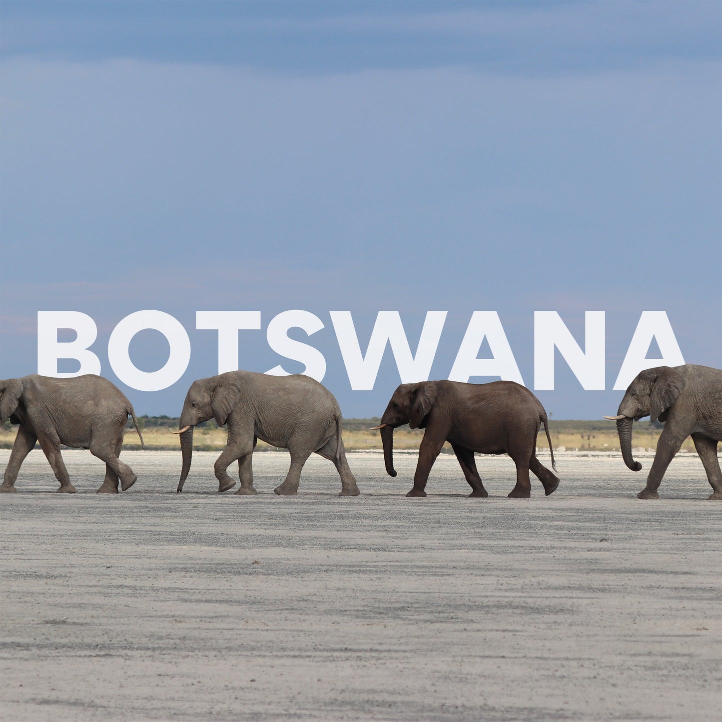 Botswana Self-Drive Camping I 14 days