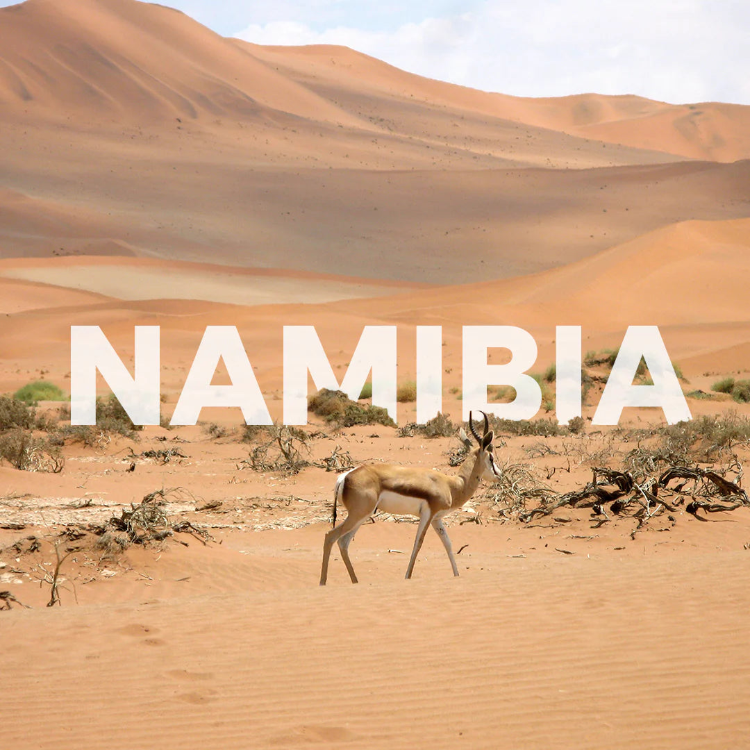 Namibia Ida y Vuelta | 15 Días