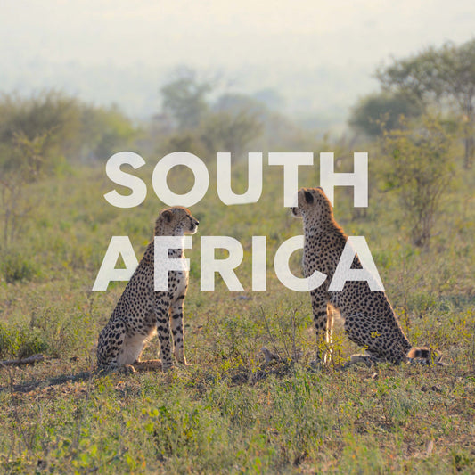 Südafrika mit Lizzy | 12 Tage