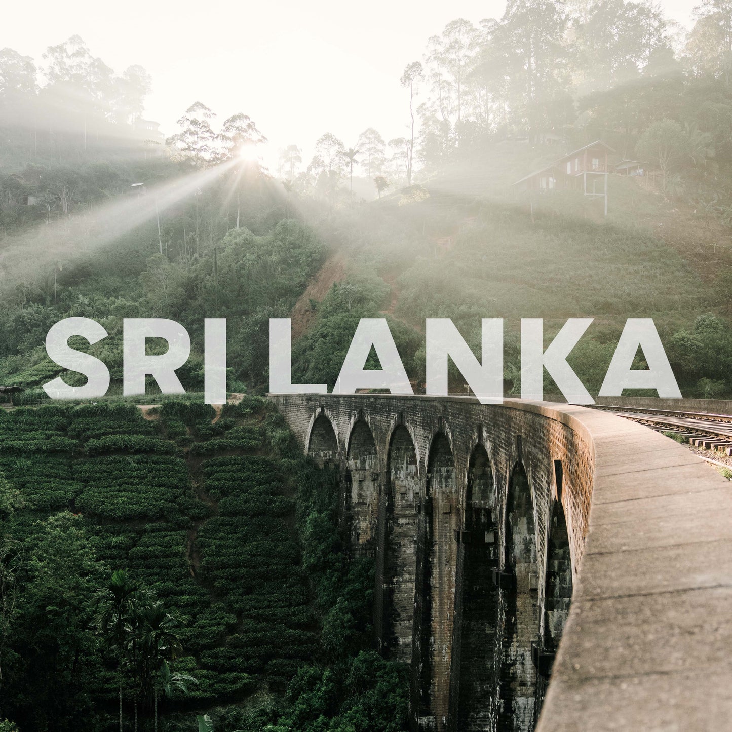 Sri Lanka mit Courtney | 13 Tage