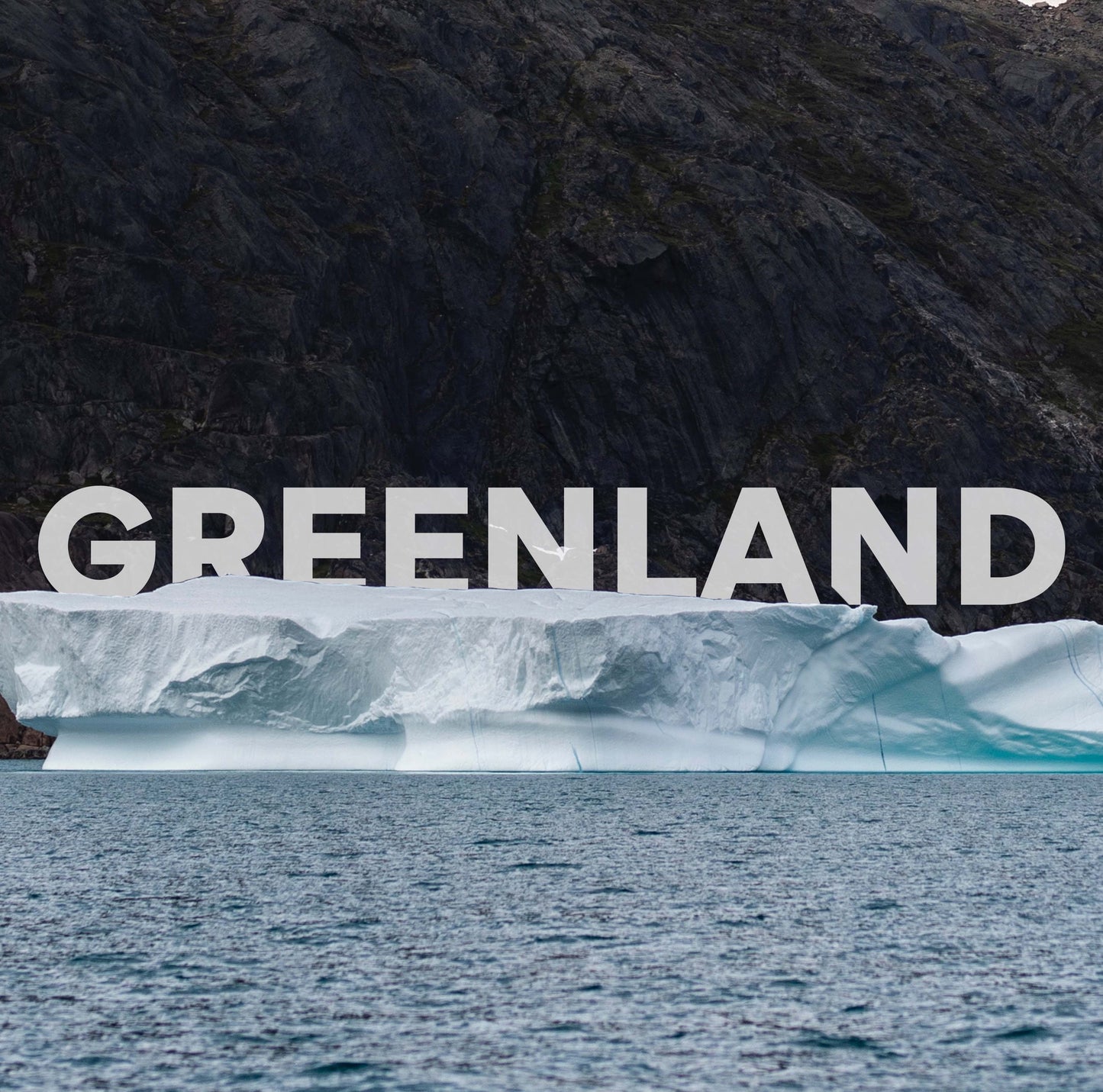 Grönland Winter Privatreise | 8 Tage