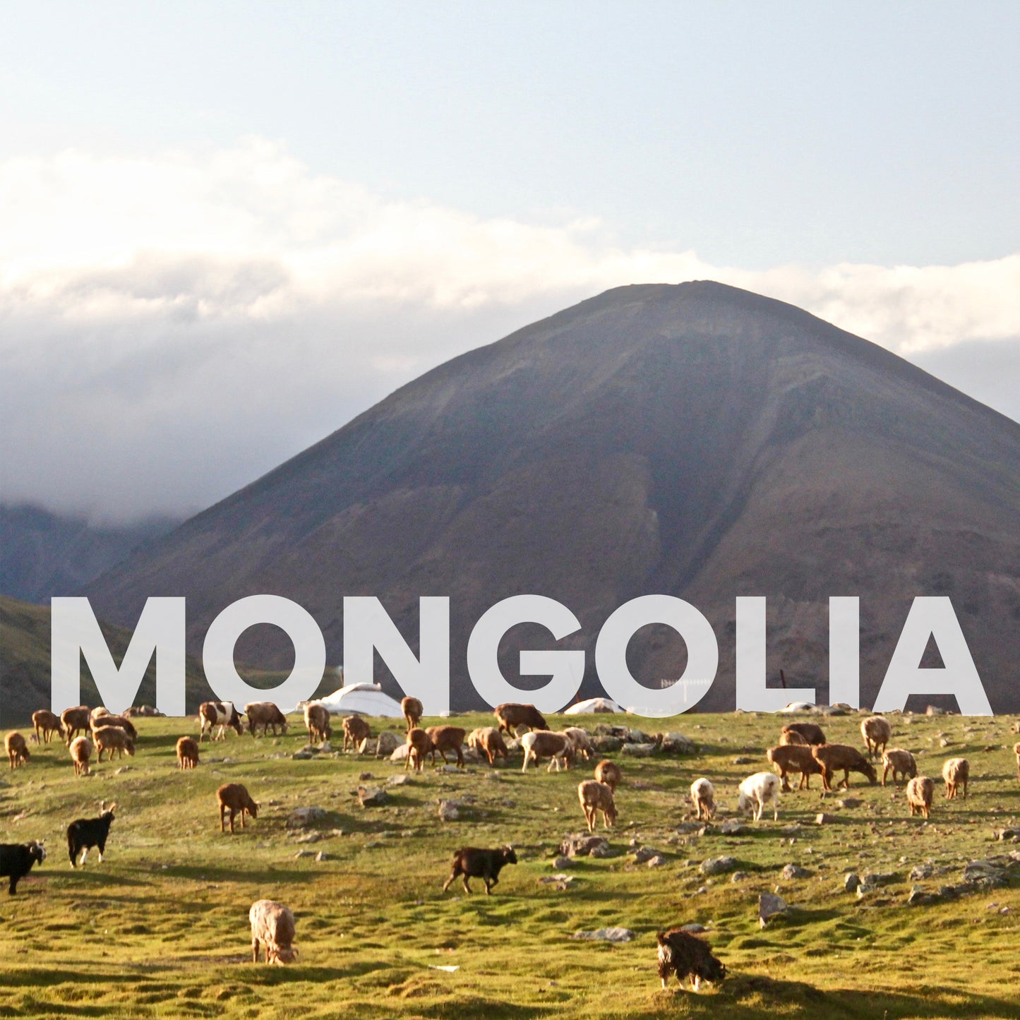 Mongolia Ida y Vuelta | 13 Días