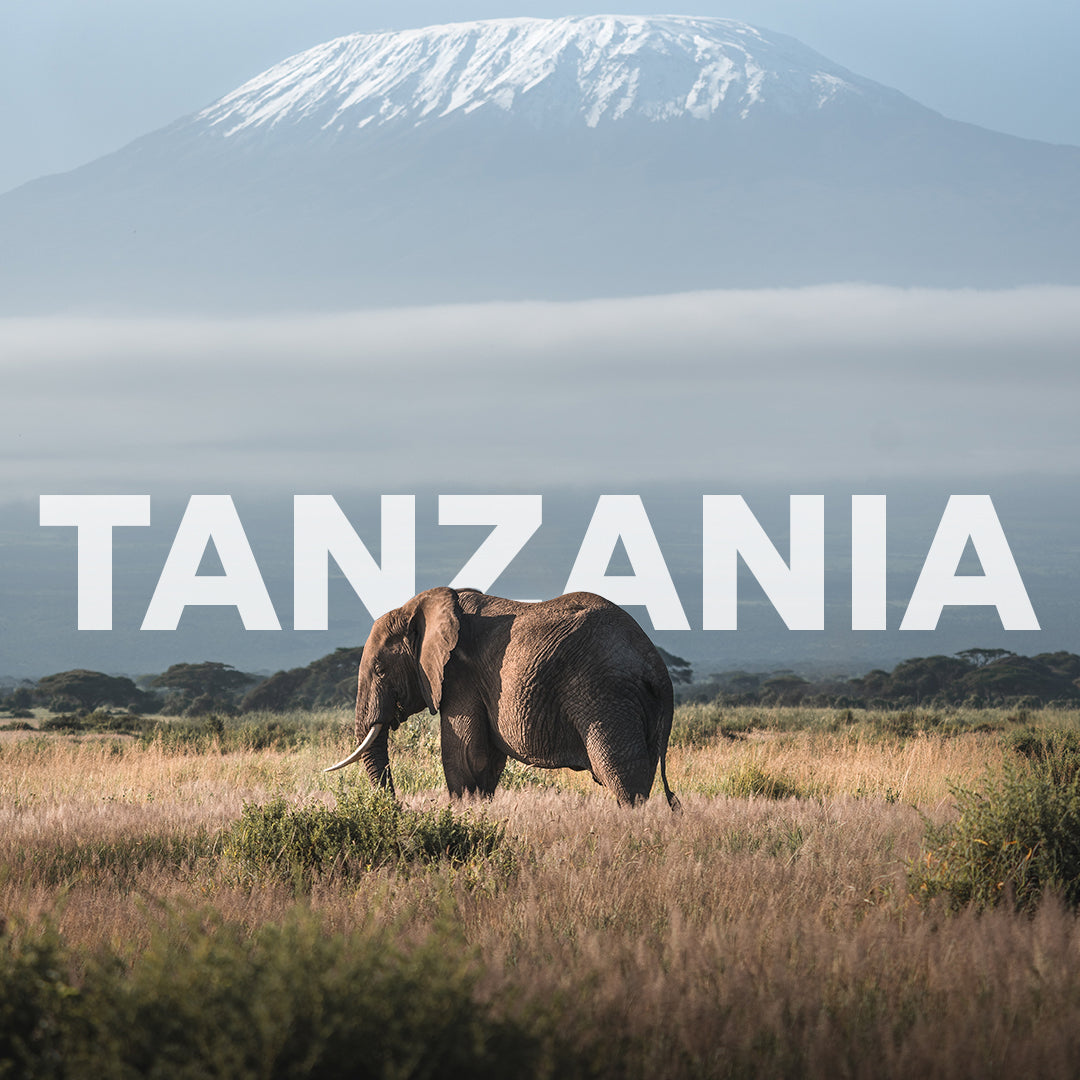 Tanzania Private Tour I 13 days