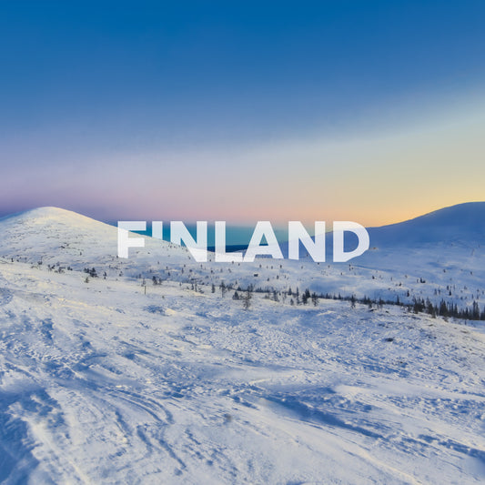 Finland dog sled and Northern Lights | 8 days