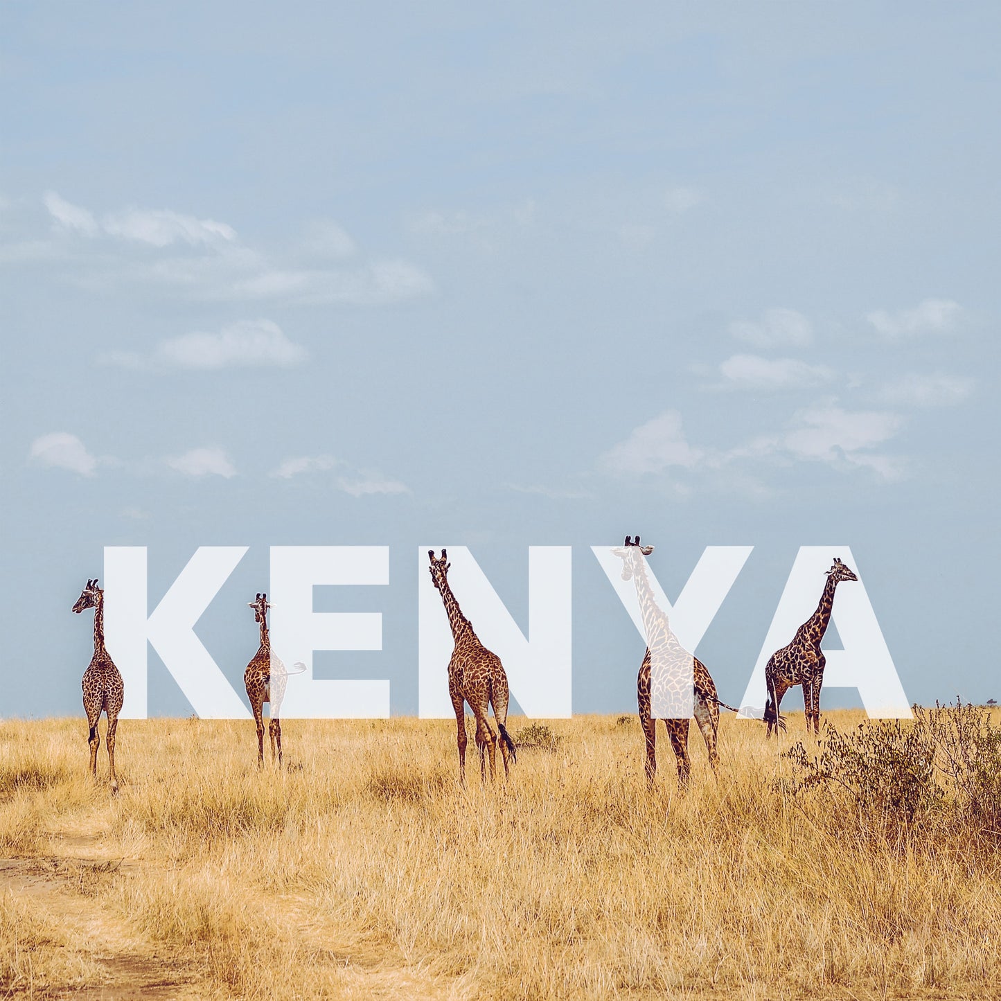 Kenia Private Rundreise I 11 Tage